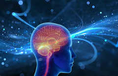 Neurology